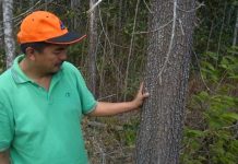 Forest Ecosystem and Environmental Assessment Forest Ecosystem and Environmental Assessment
